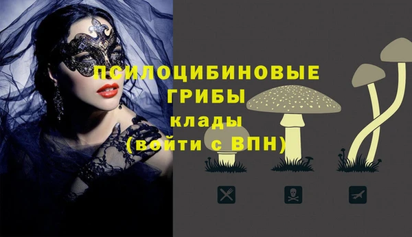 не бодяженный Осинники