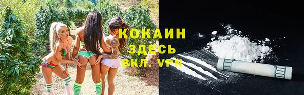 твердый Осташков
