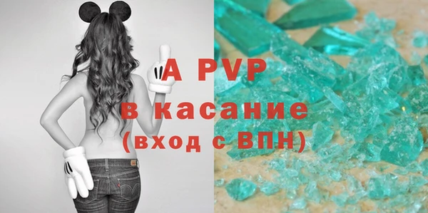 твердый Осташков