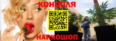 метадон Берёзовский