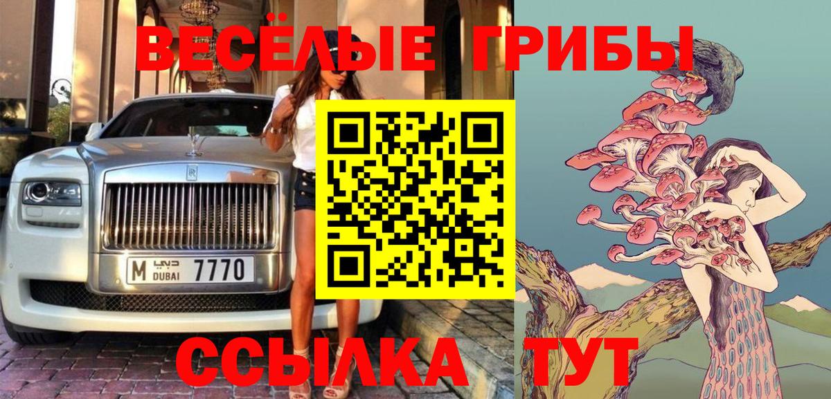 Псилоцибиновые грибы Psilocybe Семилуки