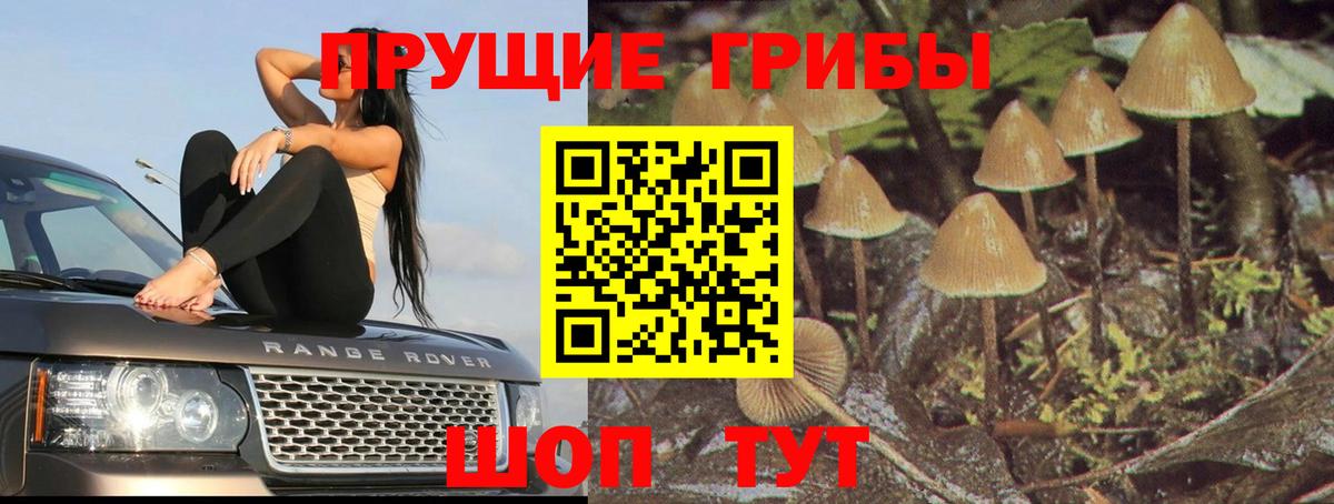 Семилуки  Псилоцибиновые грибы мицелий  Псилоцибиновые грибы Psilocybine cubensis  Вход с VPN 